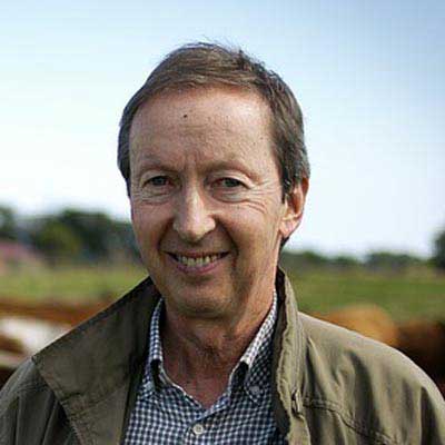 轰炸电话在线下单